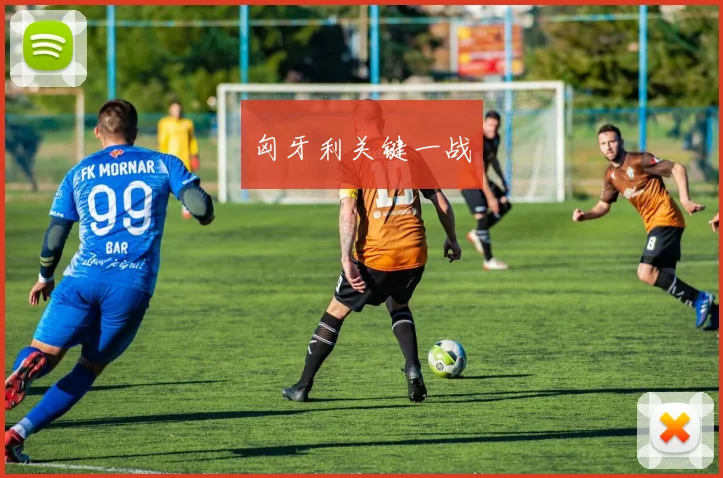 匈牙利关键一战