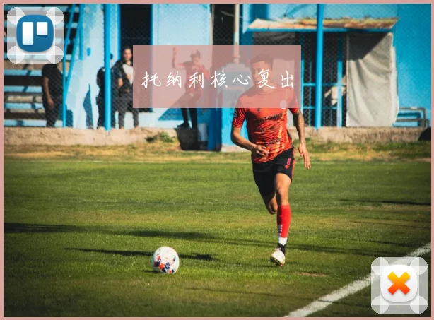 托纳利核心复出