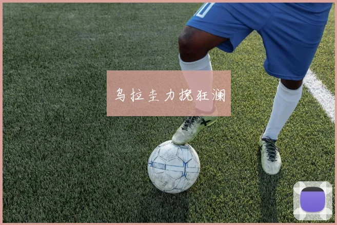 乌拉圭力挽狂澜