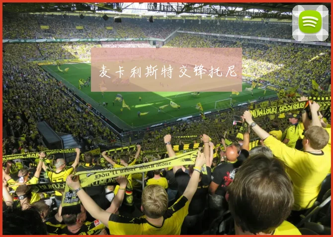 麦卡利斯特交锋托尼