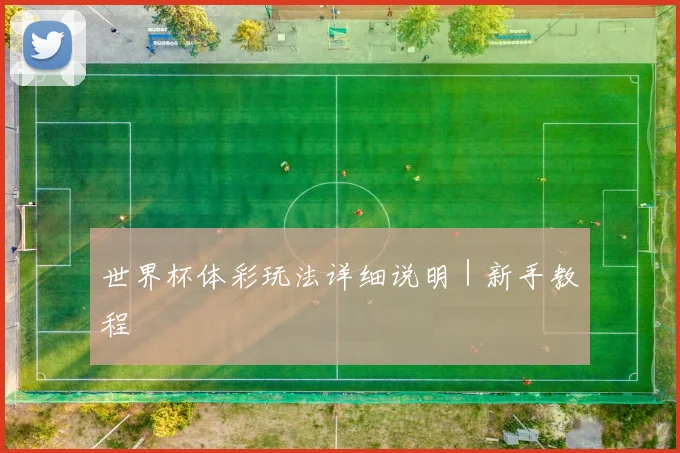 世界杯体彩玩法详细说明｜新手教程